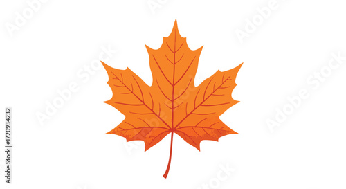 Illustration of a vibrant orange maple leaf with detailed veins and pointed lobes, isolated on a white background.