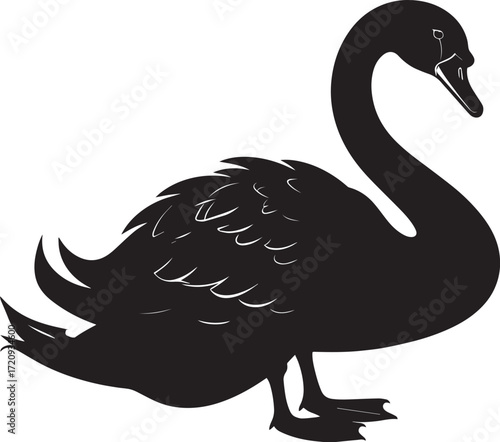  Lake Swan Silhouette Vector Illustration