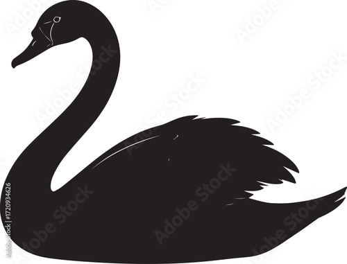  Lake Swan Silhouette Vector Illustration