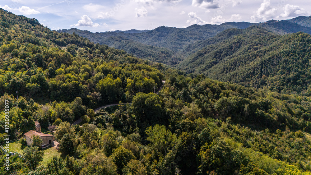 Naklejka premium default