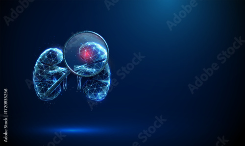Kidney under magnifying glass with red spot inside Inflammation, infection, kidney disease, medical diagnosis, nephrology research, health monitoring concept.