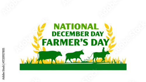 Flat vector of farmer plowing field with oxen and wheat ears with “National Farmer’s Day 23 December” text on white background