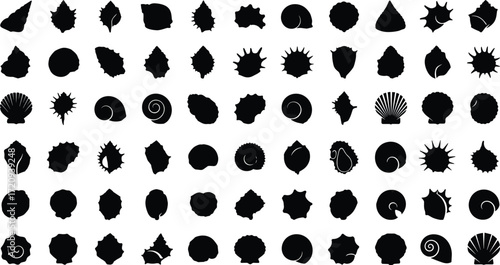 Black silhouette seashell icons, marine shells, ocean collection, spiral conch, fan shell, conical shell, spiky shell, vector illustration, natural design
