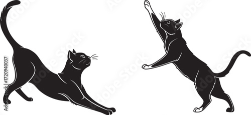 Black cat silhouette with woman illustration