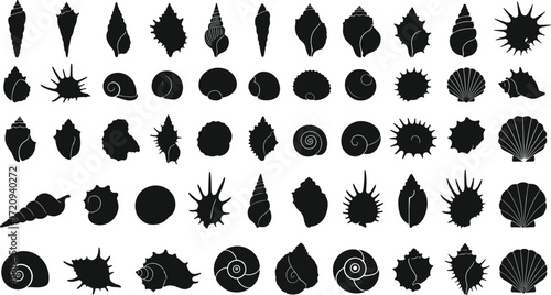 Black silhouette seashell icons, marine shells, ocean collection, spiral conch, scallop shell, conical shell, natural design, vector illustration, coastal pattern