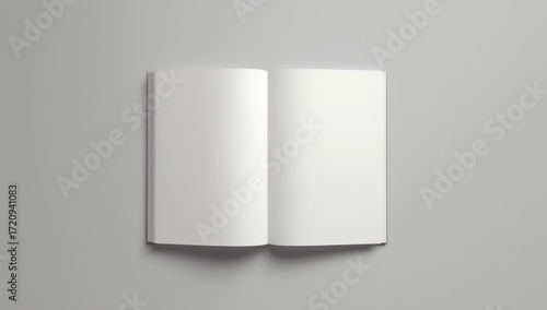 DL Bi-Fold Brochure Mockup