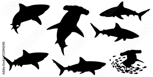 Minimalist Silhouette Shark Ocean Predator Animal Illustration Set