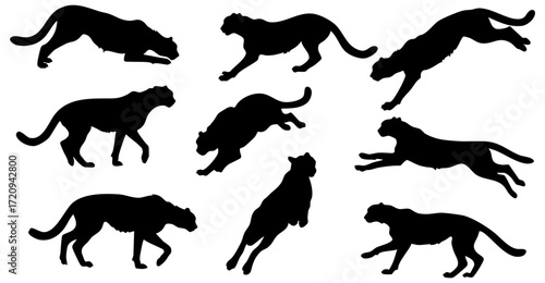 Silhouette Collection of Wild Black Panther Prowling and Jumping Animal Illustration