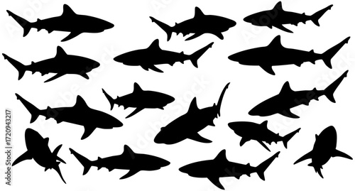 Silhouette Collection of Marine Life Shark, Ocean Animal Illustration
