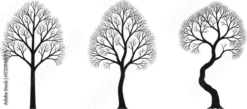 Tree silhouettes, leafless tree outline, winter vector, bare branches clipart, forest design, nature artwork, seasonal graphic, botanical illustration, organic pattern, landscape element