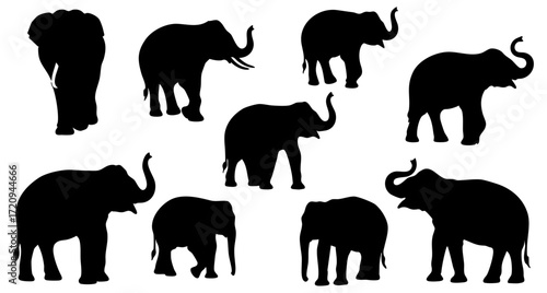 Silhouette Diverse Poses Elephant Herd Wild African Wildlife Illustration