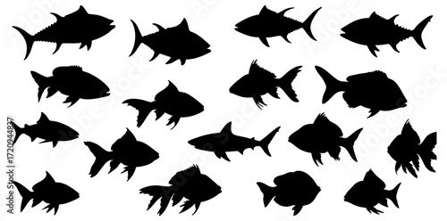 Silhouette Various Fish Species Aquatic Marine Life Illustration Set