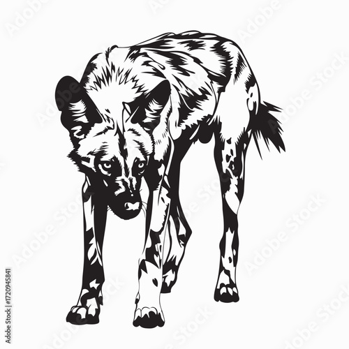 African Wild Dog Vector Portrait for Nature and Animal Graphics