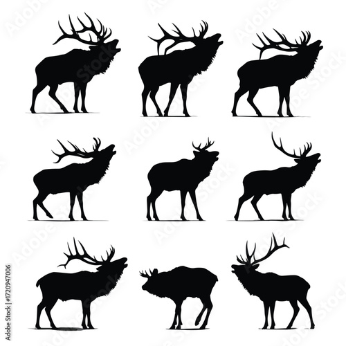 Elk bugling silhouette set black and white illustration