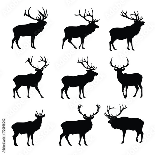 Black and white elk antler shed silhouette set