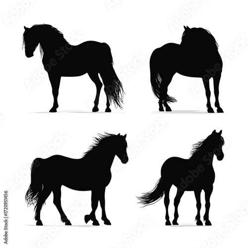 Collection of black and white equine silhouettes