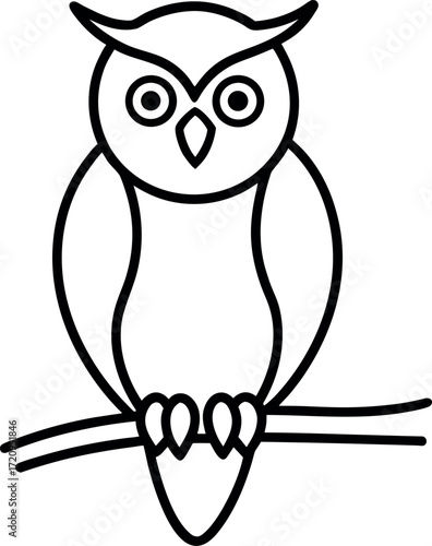 owl on white background