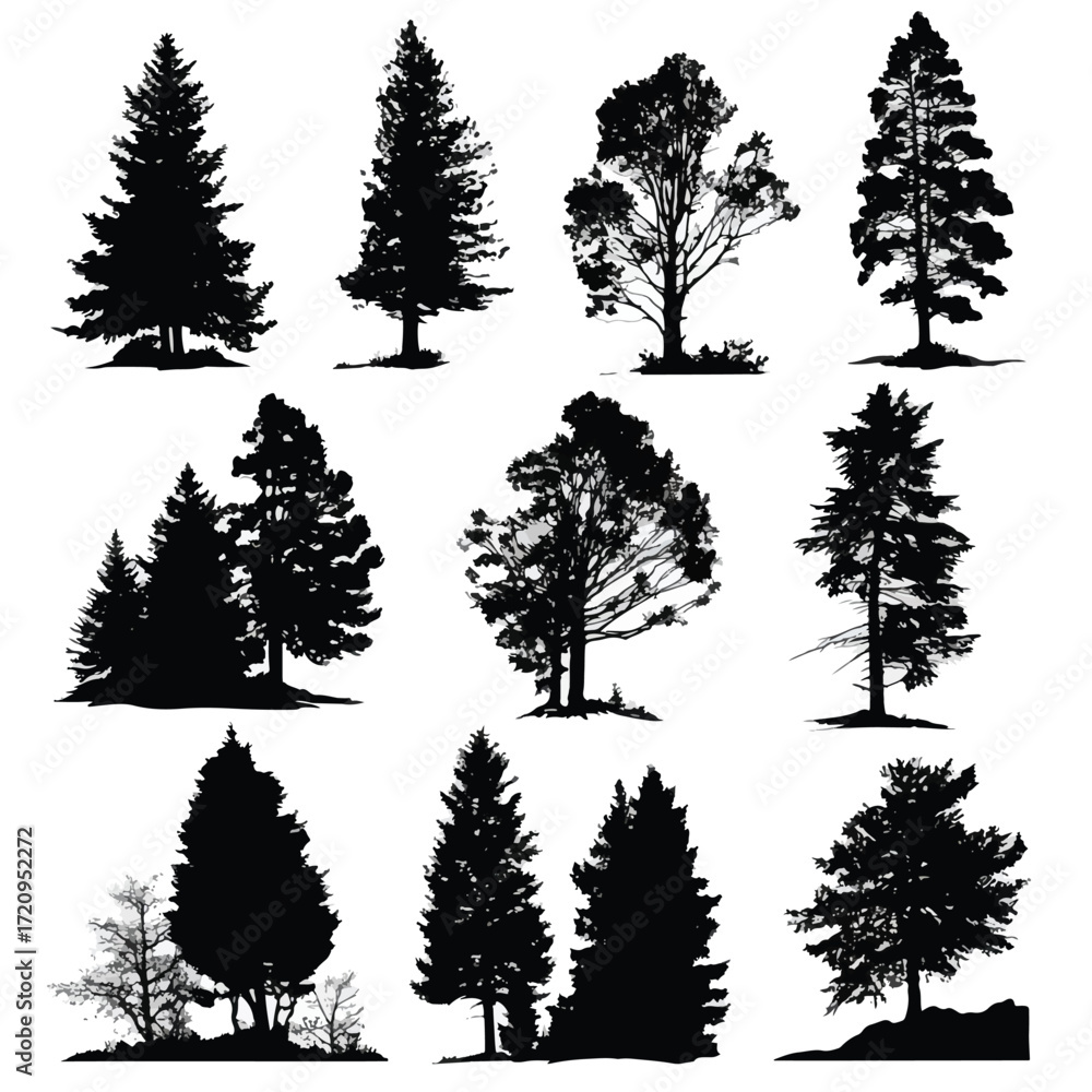 Fototapeta premium Collection of black and white evergreen tree silhouettes