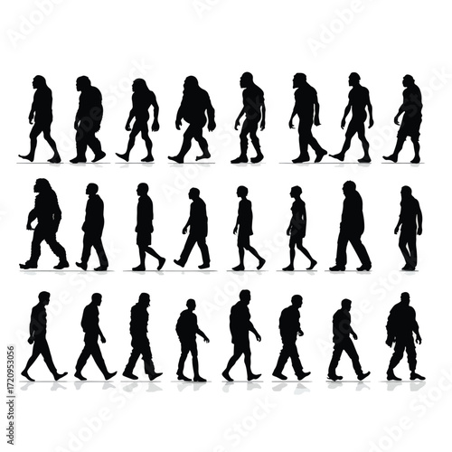 Human evolution silhouette progression