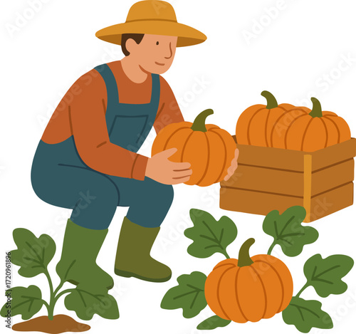 Farmer Harvesting Pumpkins Illustration vector flat design isolated