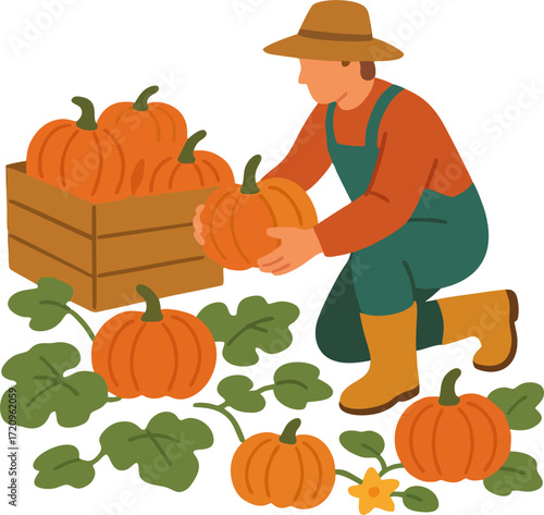 Farmer Harvesting Pumpkins Illustration vector flat design isolated