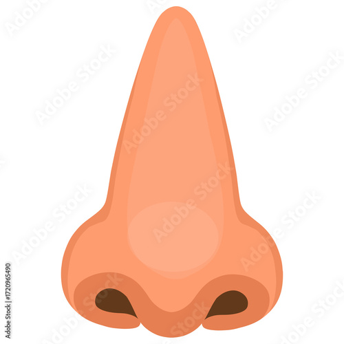Illustration of a human nose 