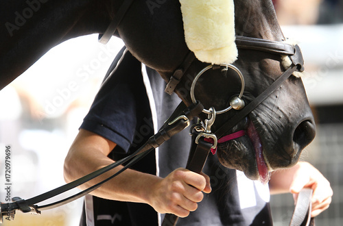 Caballo, mozo de la mano, nariz equino y boca con riendas, carrillera, anilla, correa, aro, enganche, bocado y freno