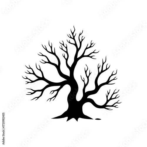 Striking silhouette of a bare tree showcasing its intricate branch structure against white