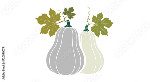 Two autumn butternut squash gourds with green leaves and vines on a white background.