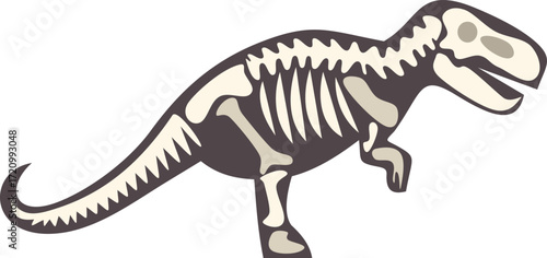 Tyrannosaurus rex skeleton walking on white background