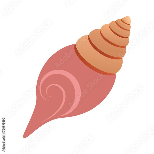 Spiral conch shell vector illustration.