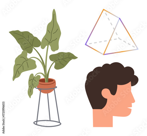 Potted plant on stand, geometric pyramid, and side profile silhouette. Ideal for nature, geometry, design, creativity, education mindfulness and self-expression. Simple flat metaphor