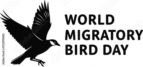 World Migratory Bird Day: Black bird silhouette in flight, freedom