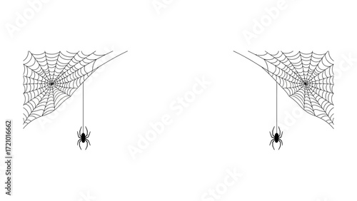 Spiderweb's Delicate Designs: Two spiderwebs showcase intricate designs with a small spider dangling, rendered in stark black and white. The image evokes a sense of eerie Halloween aesthetic.
