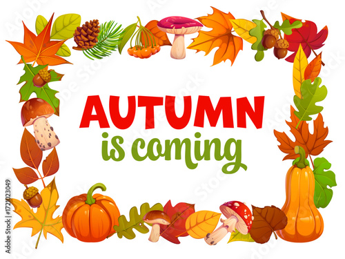 Autumn frame with season fall leaves, pumpkins and mushroom, acorns and pinecones. Fall season frame vector template with Autumn is coming text for Thanksgiving harvest festival and social media adv