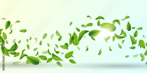 Green flying leaves. Vector illustration