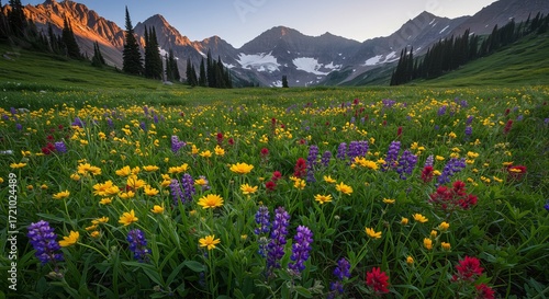 Fototapeta Naklejka Na Ścianę i Meble -  Stunning mountain landscape with wildflower meadow and snow-capped peaks at sunrise