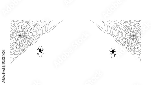 Spooky Duo: An illustration captures a pair of cobwebs with spiders, adding a touch of mystique, perfect for Halloween.