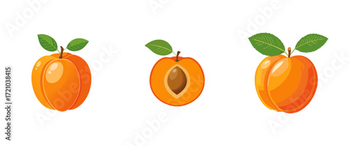 Apricot Fruit Illustration Whole, Halved, and Pitted Views