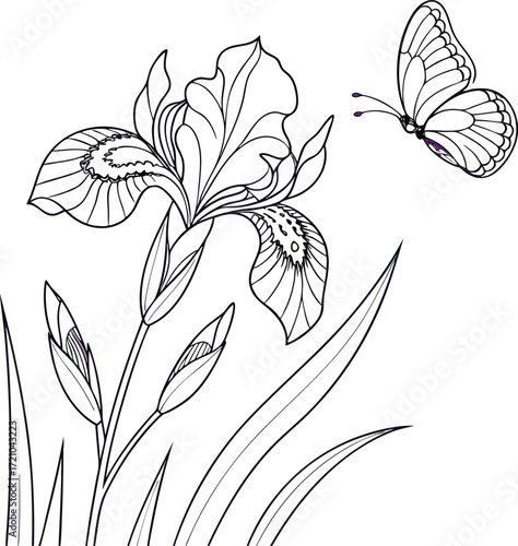 Elegant iris flower and butterfly line art illustration