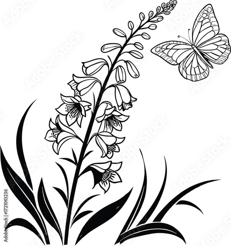 Elegant delphinium flower line art with a delicate butterfly illustration