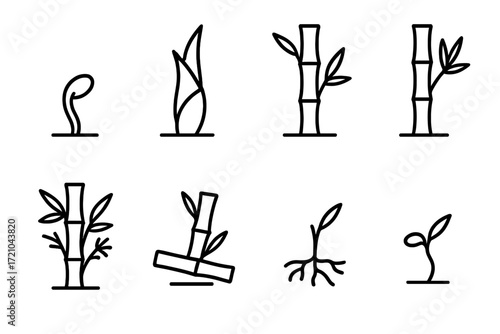 Minimalist bamboo plant symbols: evolution from seedling to full growth