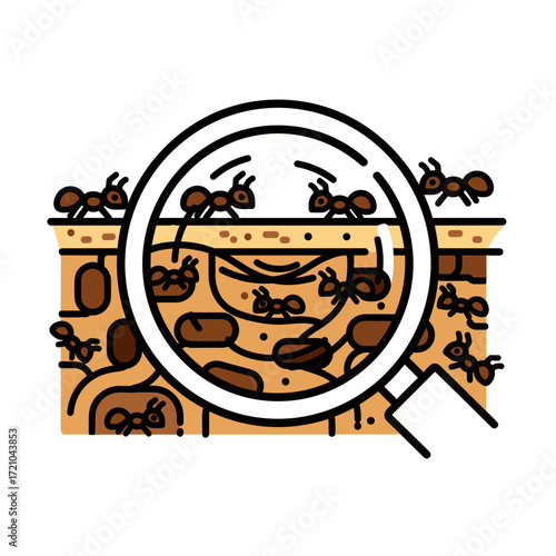 Magnified View of Ant Colony in Soil Brown Ants in Tunnels and Chambers.