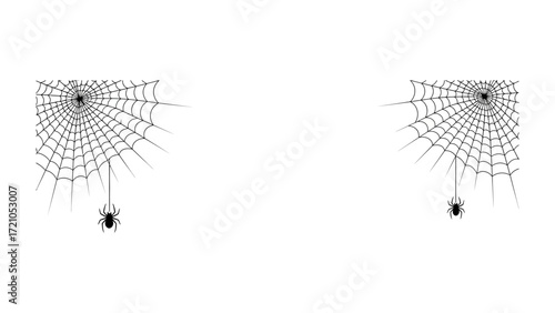 Spider and Web Illustration: a digitally rendered image of two intricate spiderwebs with spiders hanging, the image is crafted in black and white. A stark contrast adds depth and drama to the design