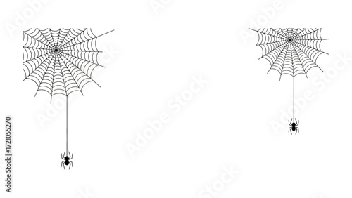 Spider and Spiderweb: A minimal and elegant spider and web graphic, perfect for themes related to Halloween, insect life, and the beauty of nature's designs.