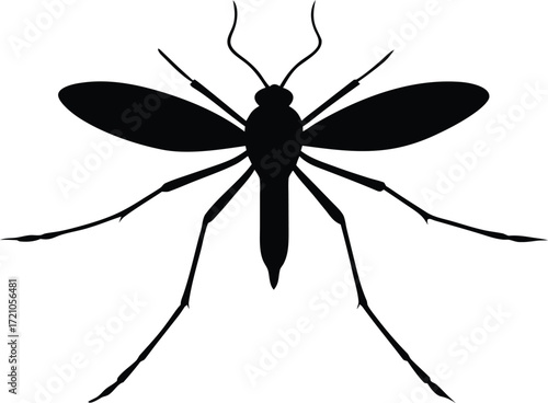 mosquito vector art, disease carrier icon
