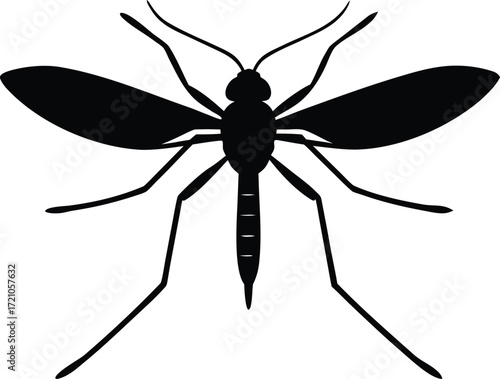 mosquito vector art, disease carrier icon
