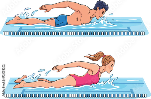 Man and woman swimming butterfly stroke in pool, professional athletes training, sports fitness activity, water exercise, competitive swimming illustration