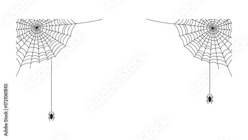 Spiderweb Duo: A minimalist portrayal of two spiderwebs, elegantly displayed against a clean backdrop, each hosting a small spider and showcasing the delicate artistry of nature's architects.
