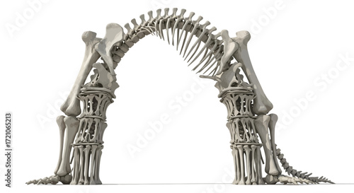 Discover the Majestic Dinosaur Skeleton Archway Ready for Your Next Creative Project or Educational Display, Perfect for Museums and Learning Centers